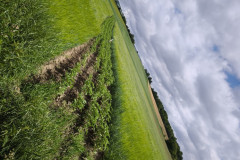 IMG_20260615_101603