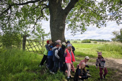 IMG_20260615_101939