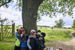 IMG_20260615_101942