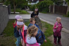 IMG_20260615_103304