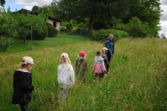 IMG_20260615_104026