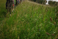 IMG_20260615_104043