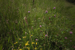 IMG_20260615_104241