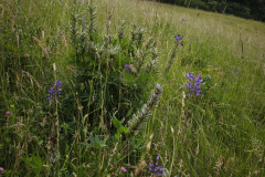 IMG_20260615_104244