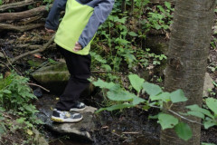 IMG_20260615_104421