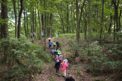 IMG_20260615_104639