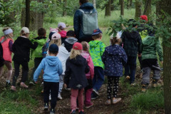 IMG_20260615_104747