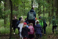 IMG_20260615_104749
