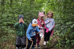 IMG_20260615_104933