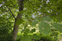 IMG_20260615_105121