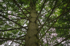IMG_20260615_105213