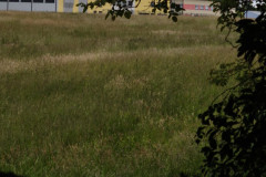 IMG_20260615_105512