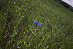 IMG_20260615_105832