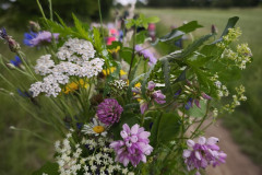 IMG_20260615_105921
