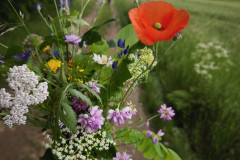 IMG_20260615_110010