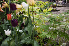 IMG_20260506_090225