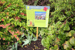 IMG_20260506_090857