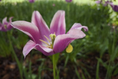 IMG_20260506_091233