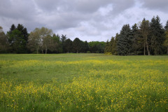 IMG_20260506_091600