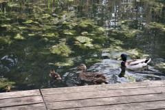 IMG_20260506_091748