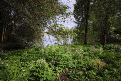 IMG_20260506_092248