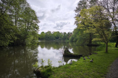IMG_20260506_092701