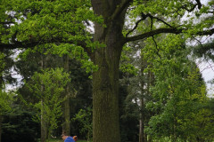 IMG_20260506_092932