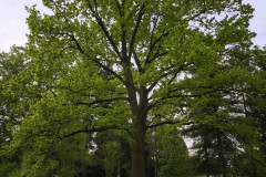 IMG_20260506_092936