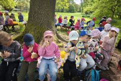 IMG_20260506_093559