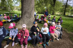 IMG_20260506_093701