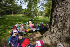 IMG_20260506_093706
