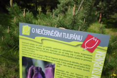 IMG_20260506_095318