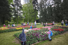 IMG_20260506_095556