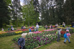 IMG_20260506_095603