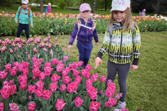IMG_20260506_095650