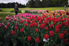 IMG_20260506_100136