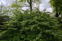 IMG_20260506_100744