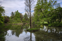 IMG_20260506_100756
