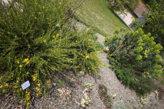 IMG_20260506_101111