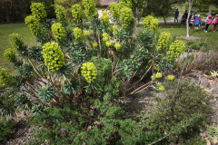 IMG_20260506_101122