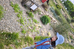 IMG_20260506_101150