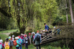 IMG_20260506_101615