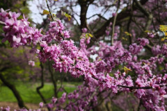 IMG_20260506_102740