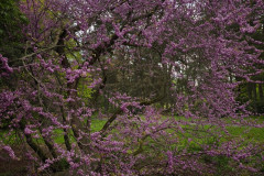 IMG_20260506_102813