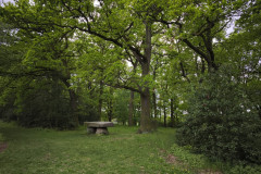 IMG_20260506_103013