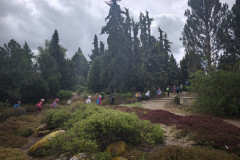 IMG_20260506_103726