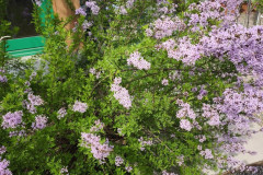 IMG_20260506_104348