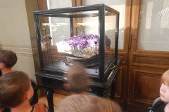 DSCN1120