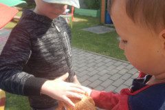 DSCN1344