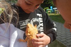 DSCN1350